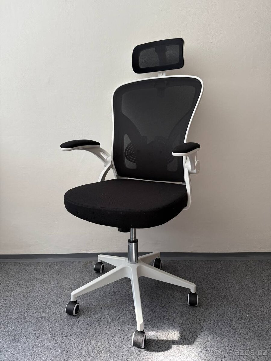 Ergonomická židle Ahua