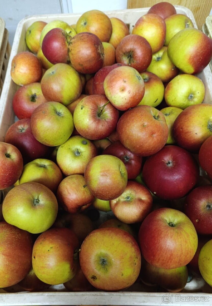 Jablka na prodej