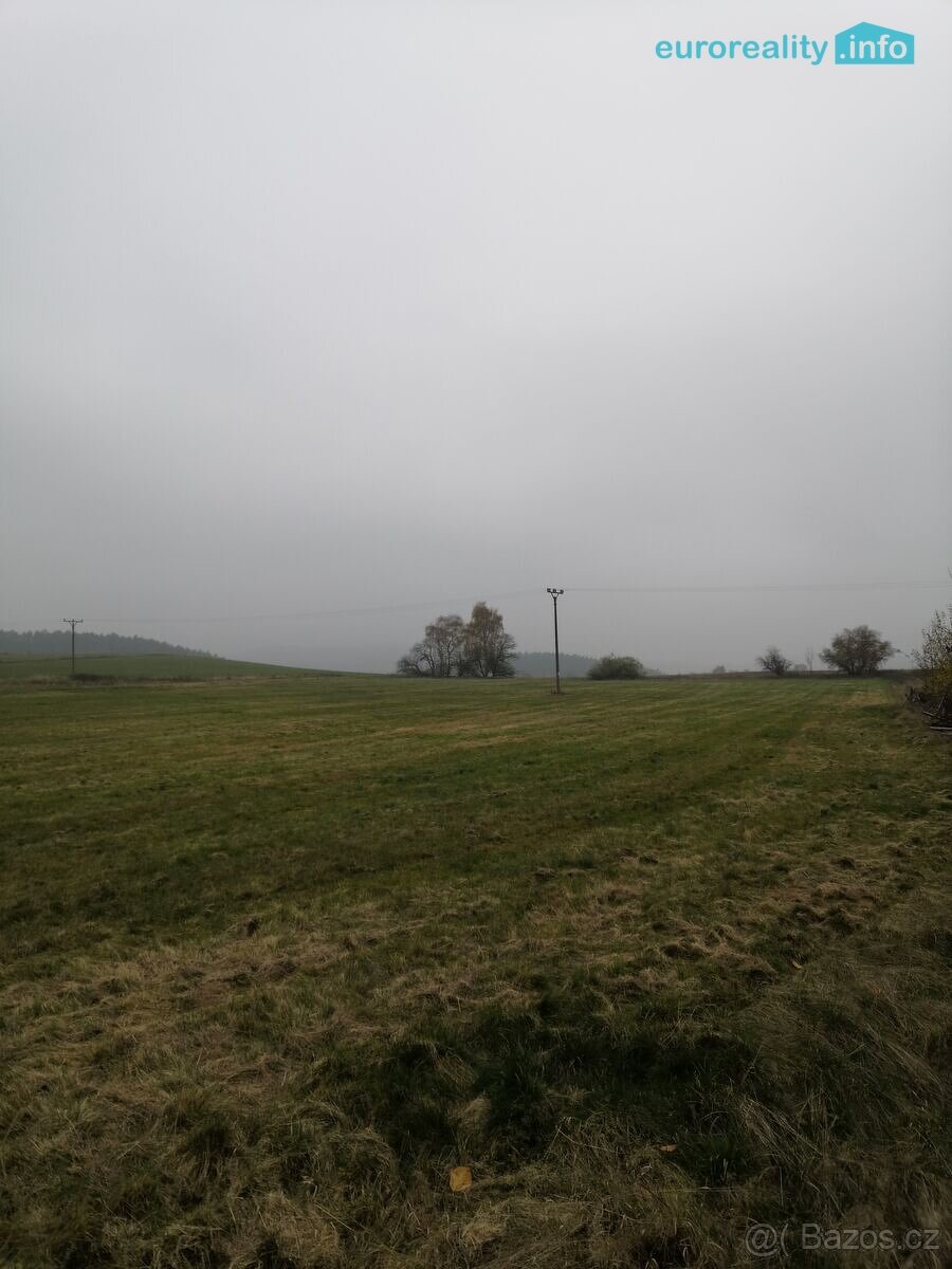 Prodej, pozemková parcela, Stanovice 9.239,5 m2