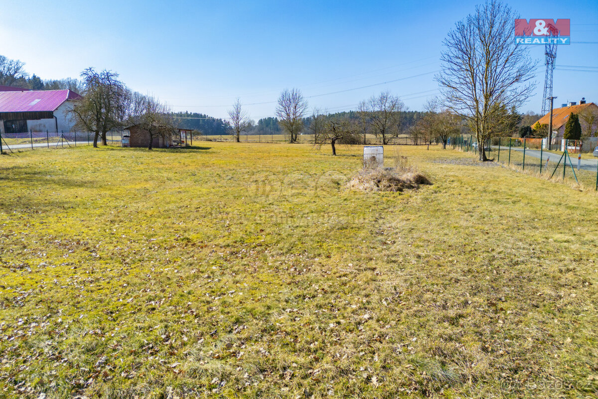 Prodej pozemku k bydlení, 3499 m², Bor