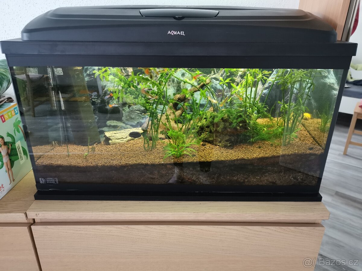 Akvarium 80x35x40 vybavené