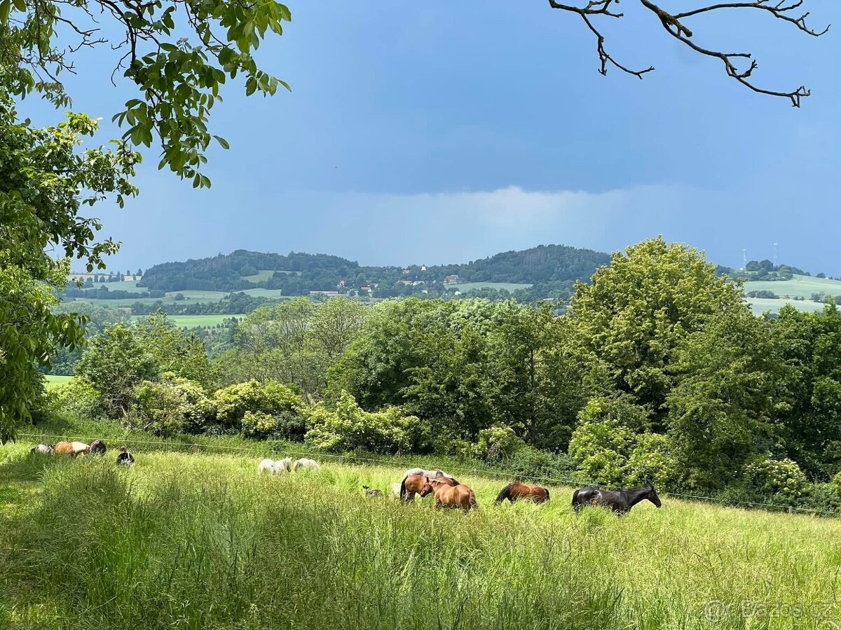 Pastevní ustájení v ráji i pro DUŠNÉ koně PRAHA 35 minut