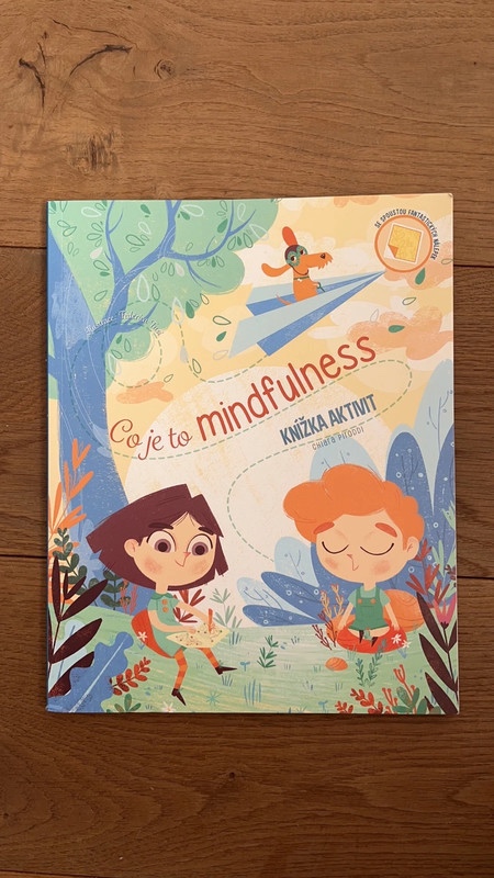 Co je to mindfulness - kniha