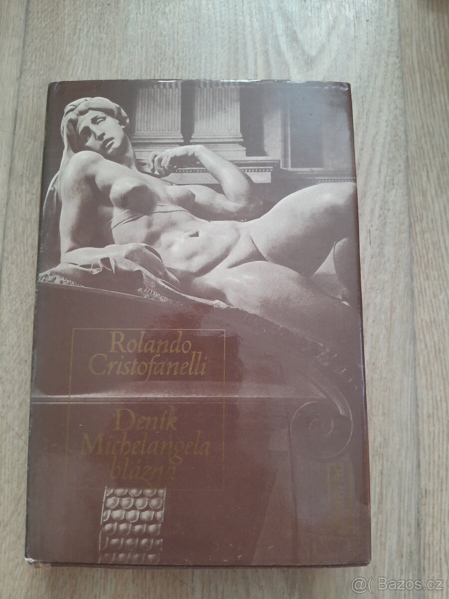 Deník Michelangela blázna