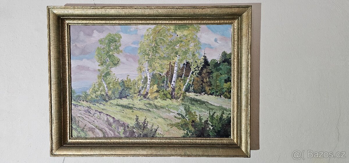 Obraz - břízy - jaro