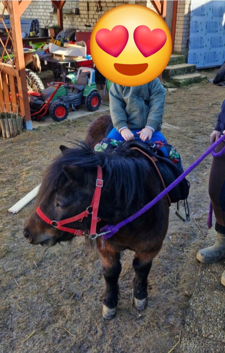 Pony klisna