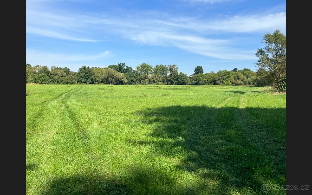 pozemek v Borohrádek 25628 m