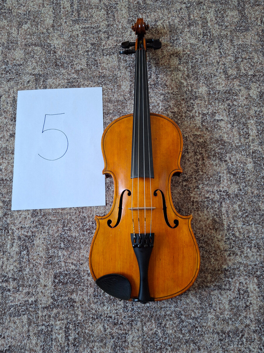 Viola 38,5 (5)