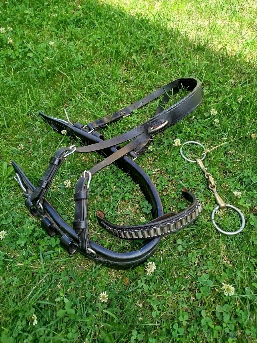 Pony věci