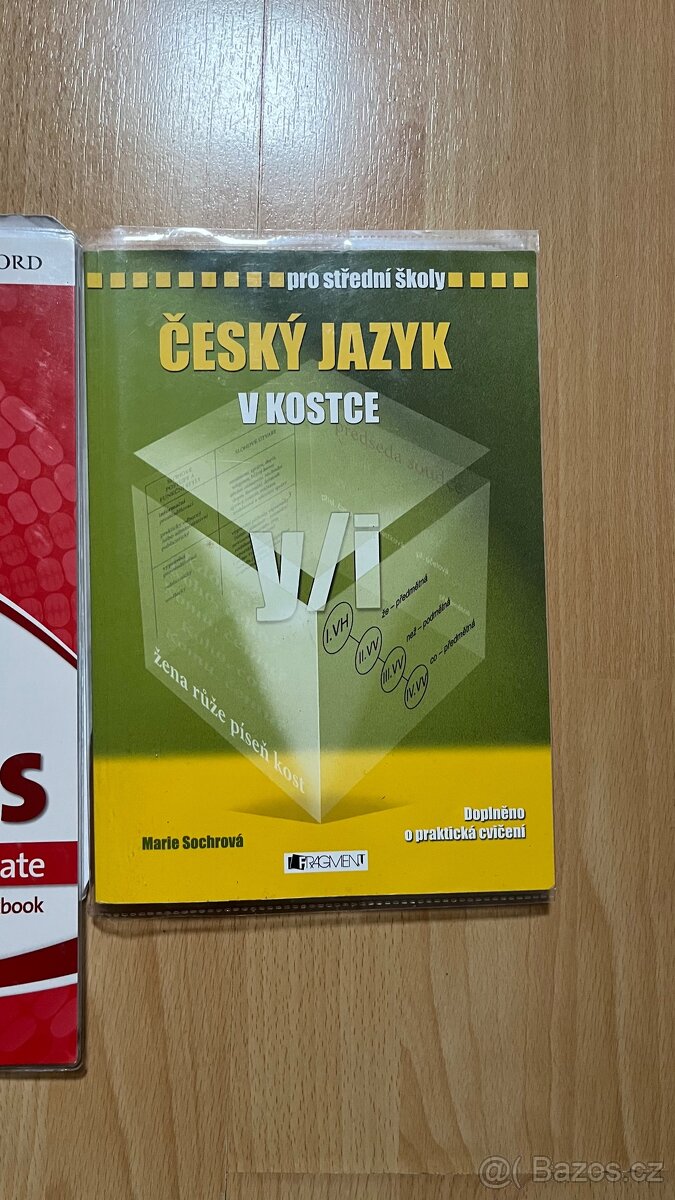 Český jazyk v kostce