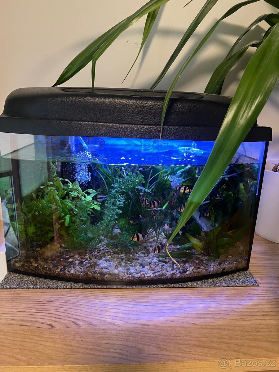 Akvárium 50x30x25