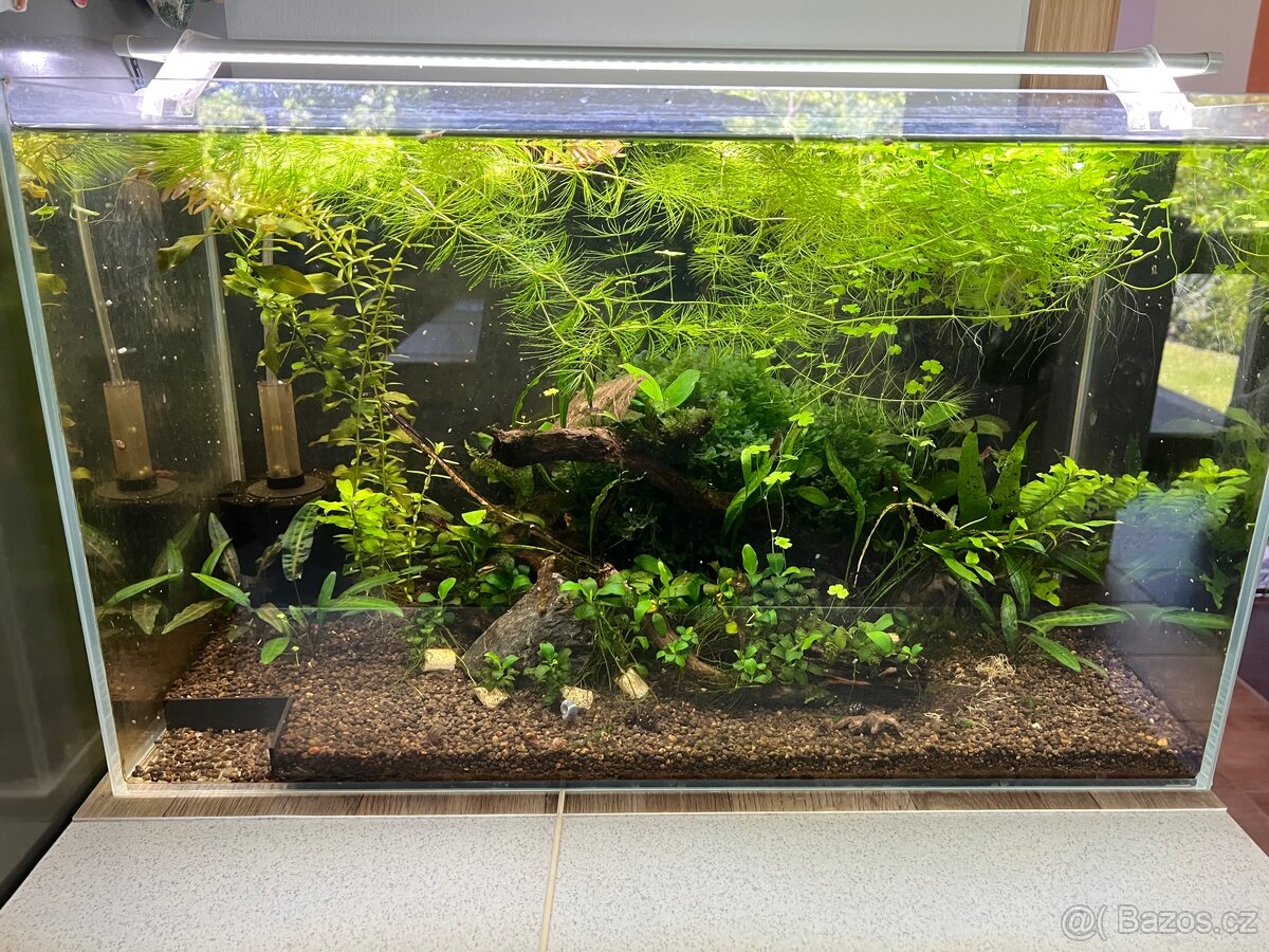 Akvárium 63 l