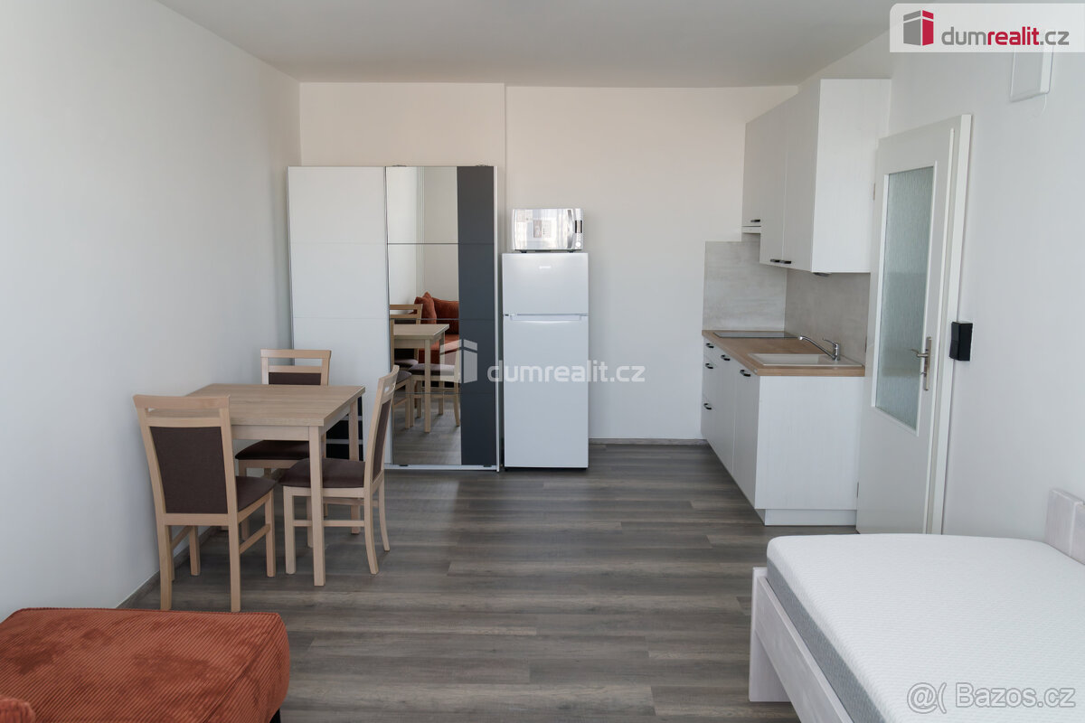 Velmi pěkný byt (obytný atelier) 1+kk, Praha 8-Střížkov