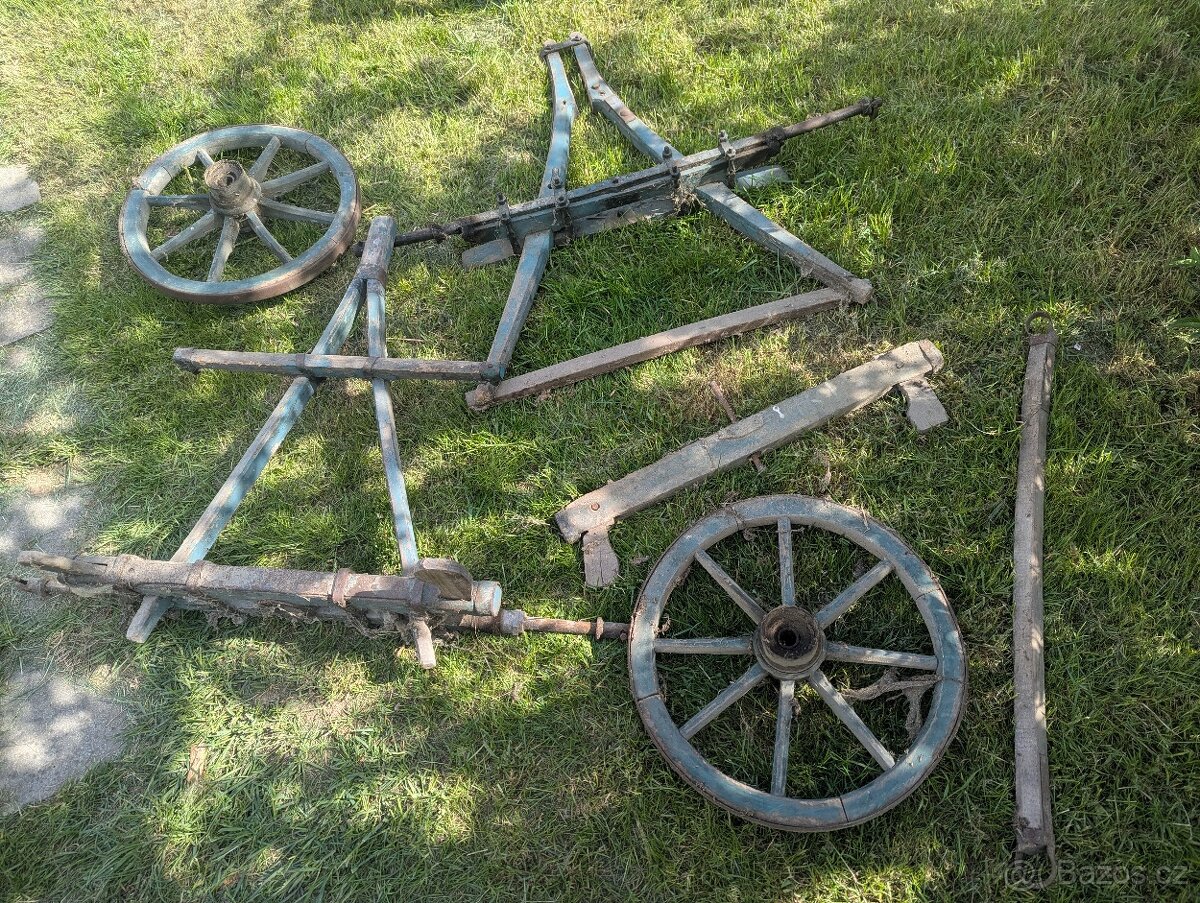 Část žebřiňáku