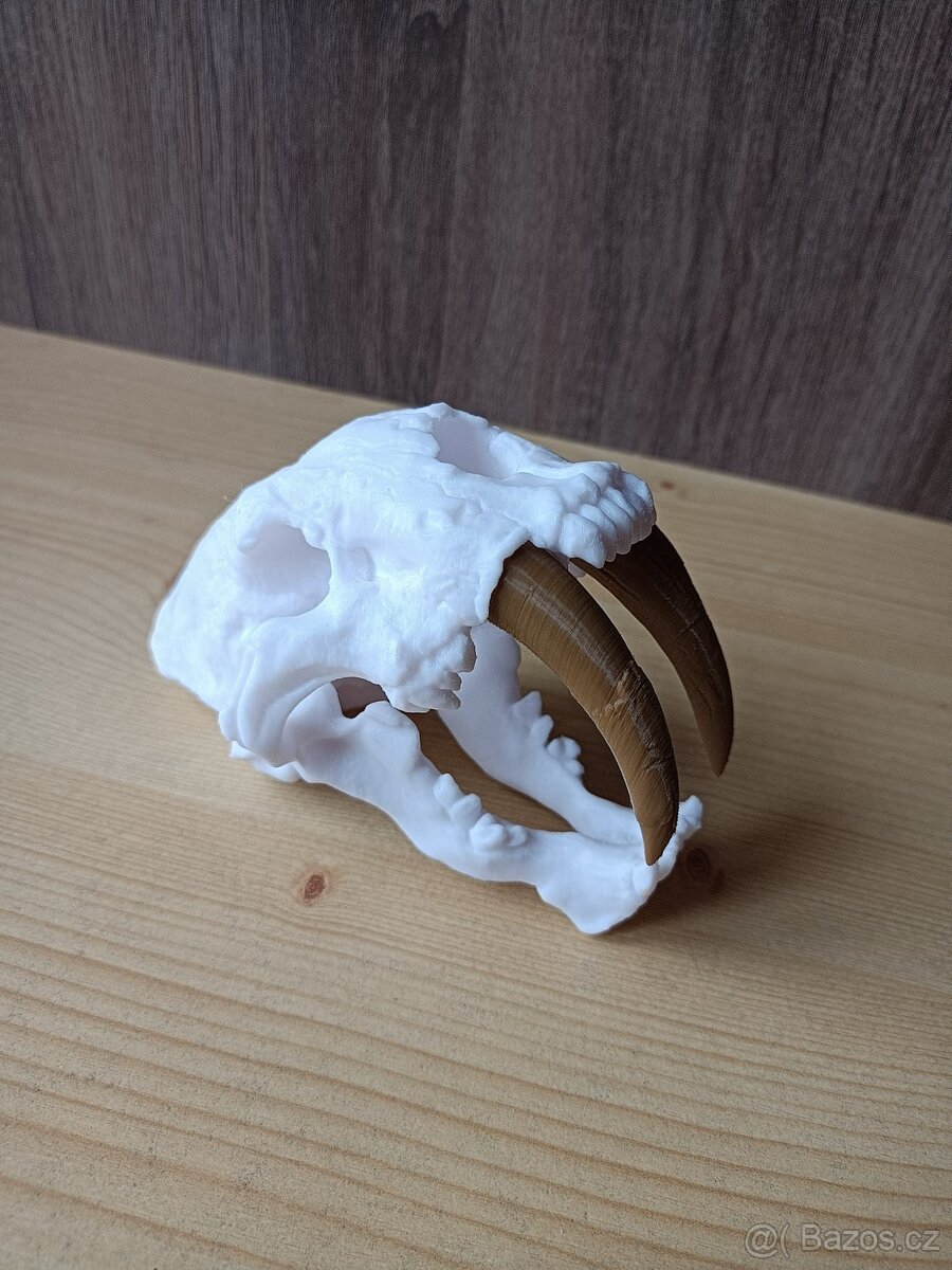 3D tisk-replika lebky šavlozubého tygra