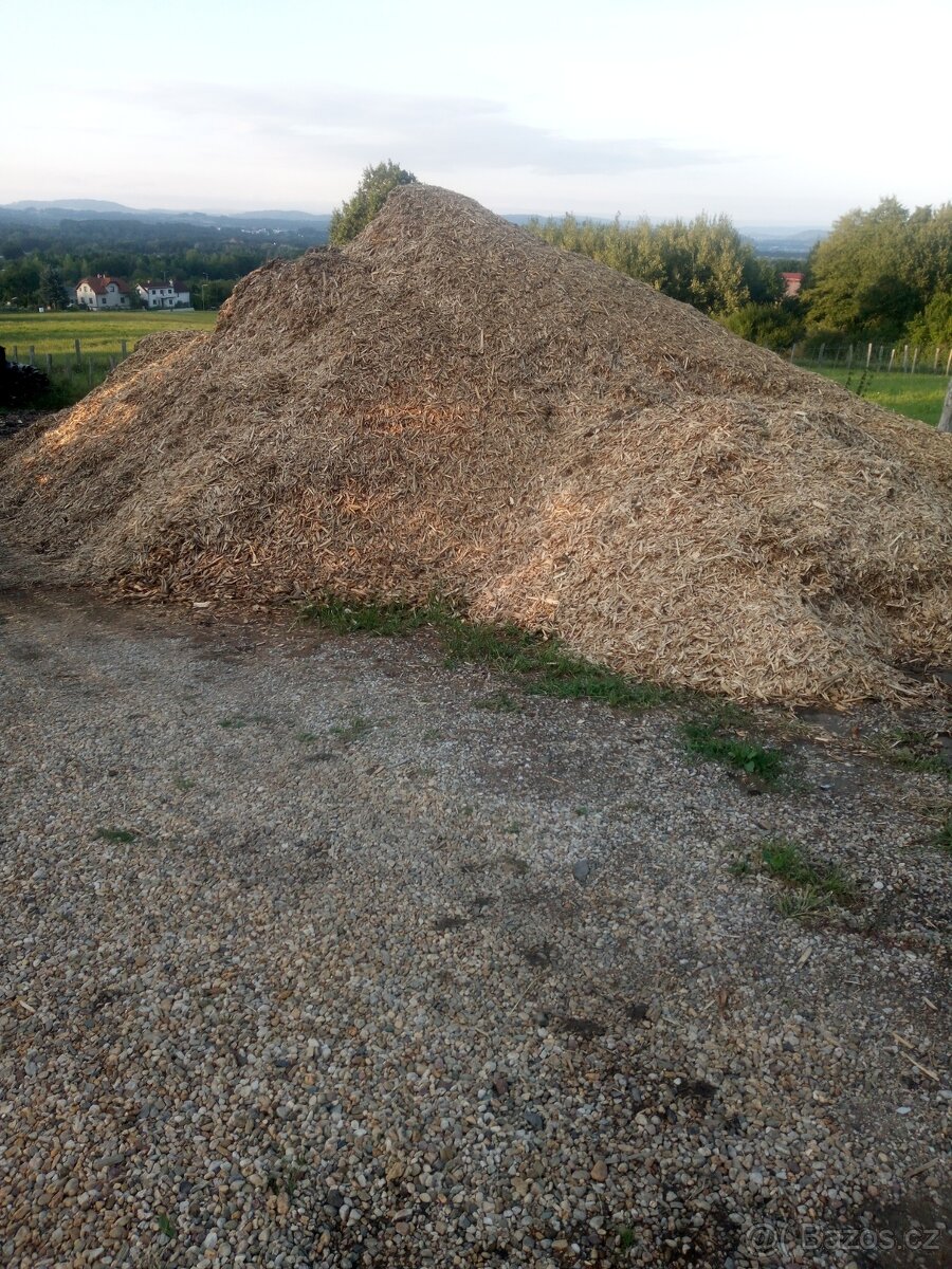 Dřevoštěpka