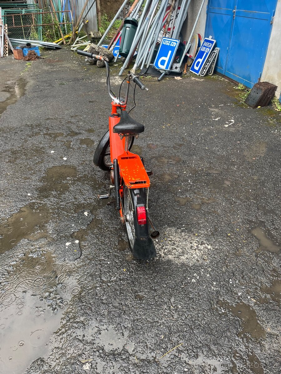 Babeta 207
