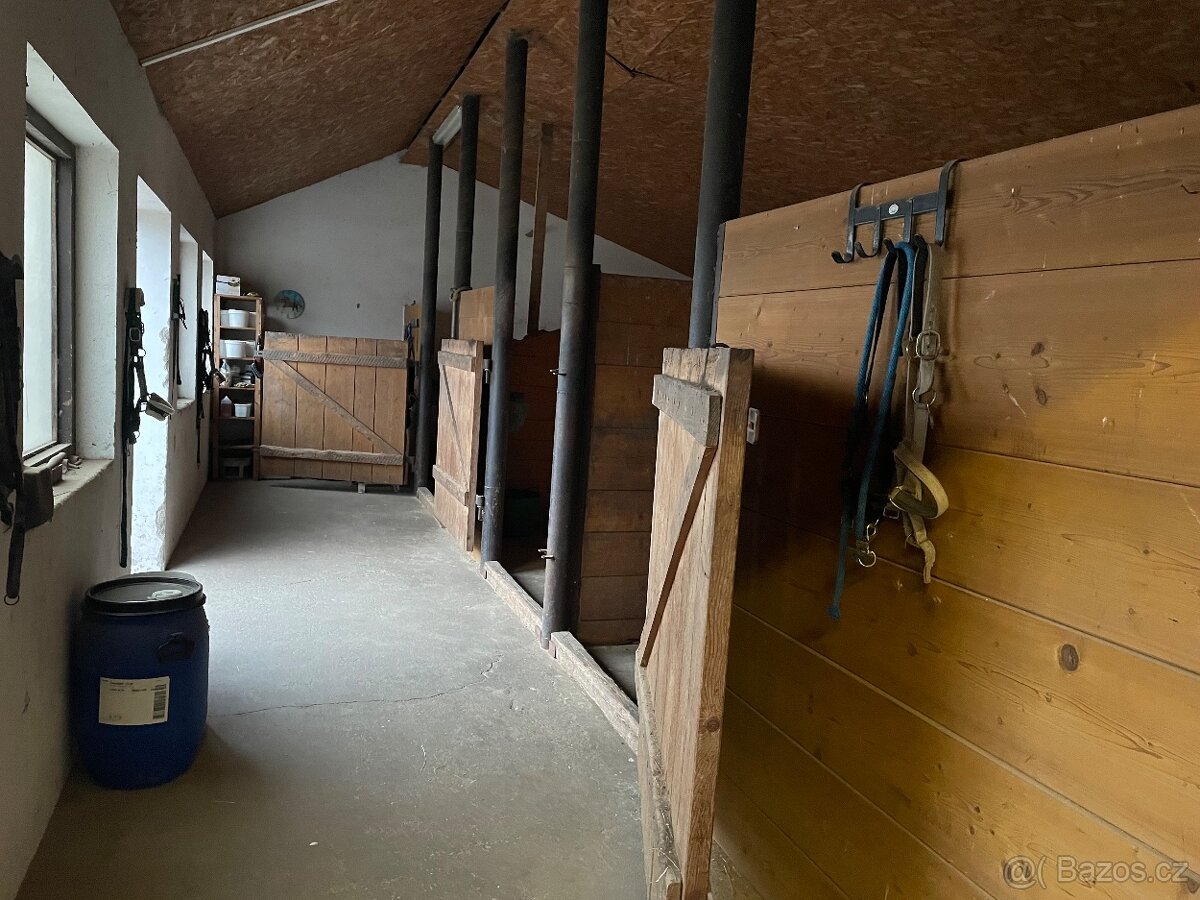 Nabídka boxového ustájení