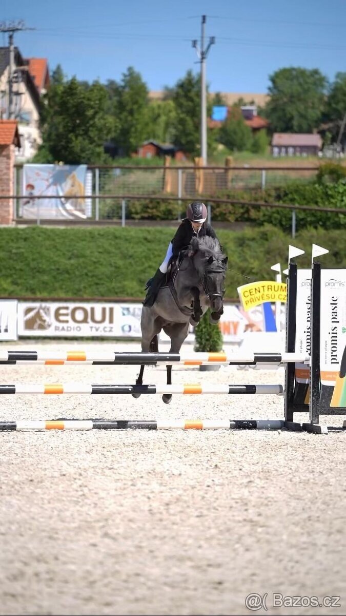 Pony klisna kat. A