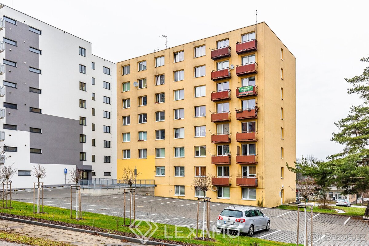 Pronájem bytu 1+kk 20 m², Jihlava, ev.č. 00310