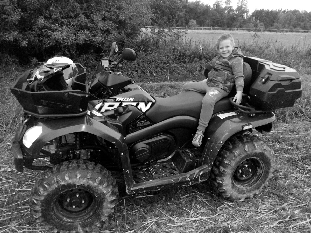 Goes 450 iron