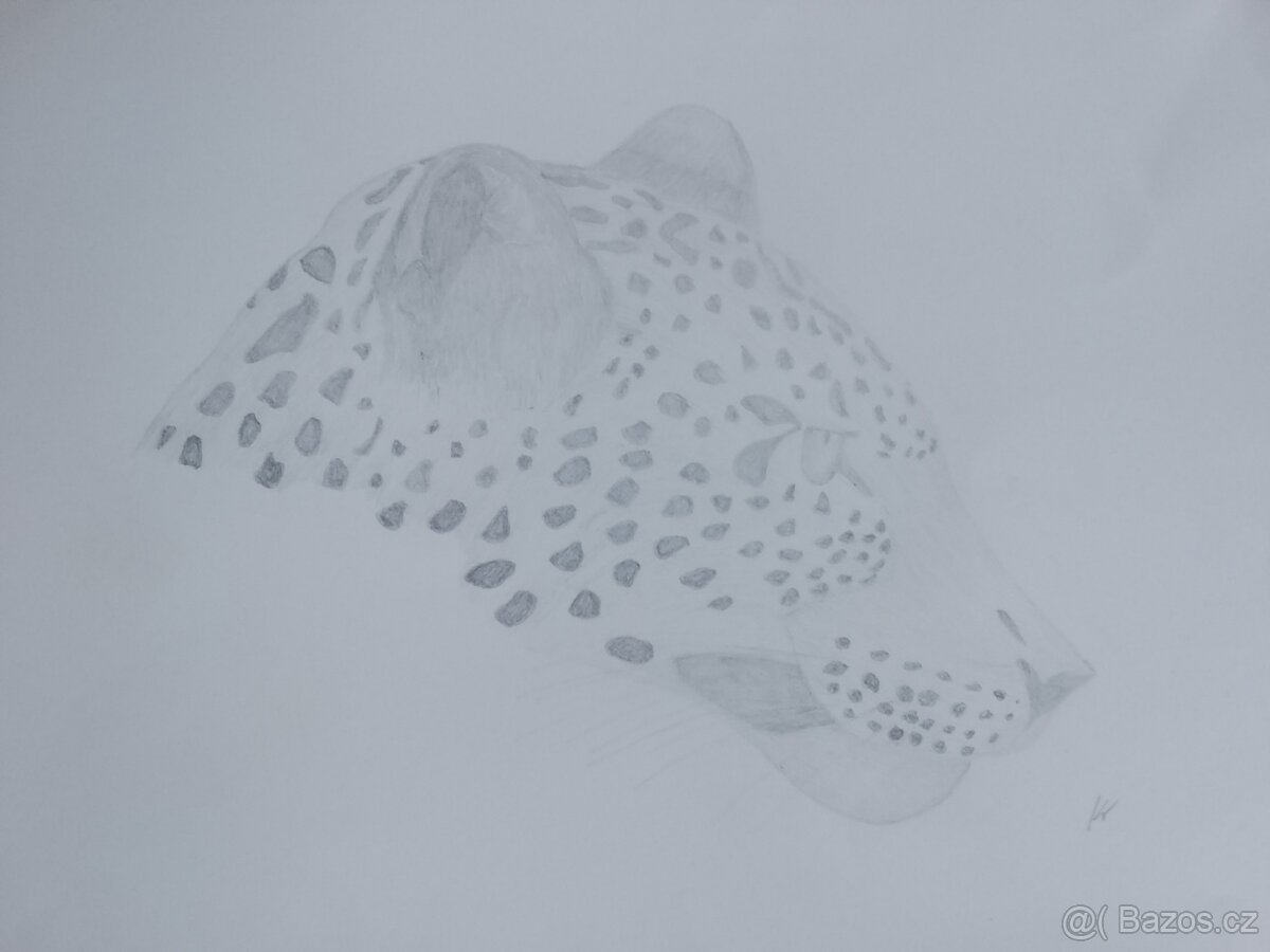 Obrázky obrazy kresby kreslení