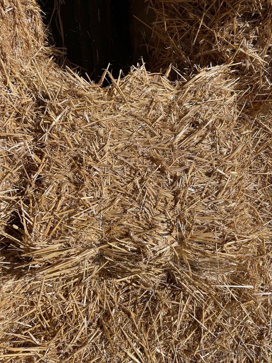 Prodám malé balíky pšeničné slámy