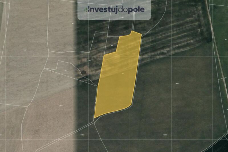 Prodej pole v k.ú. Čisovice