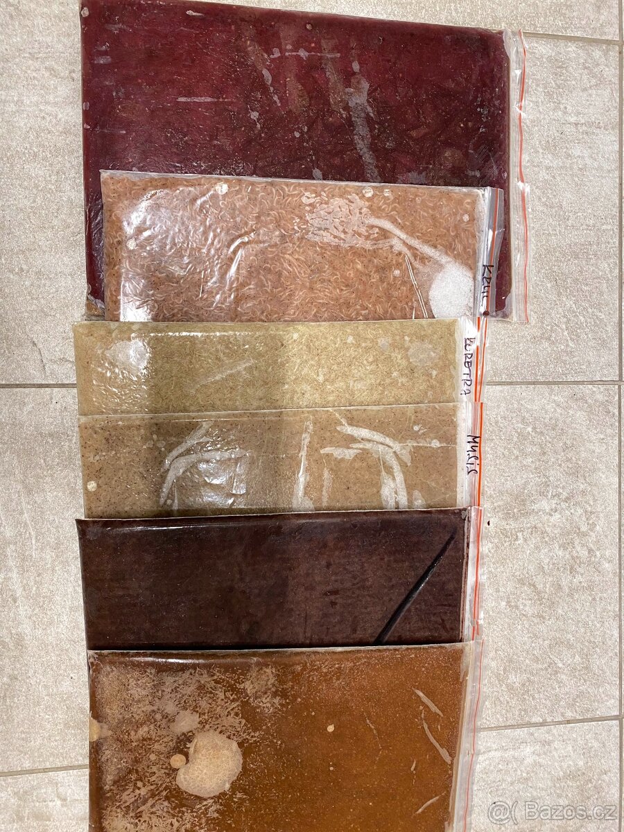 Artemie, discus mix, koretra, dafnie, mysis, hovězí srdce,