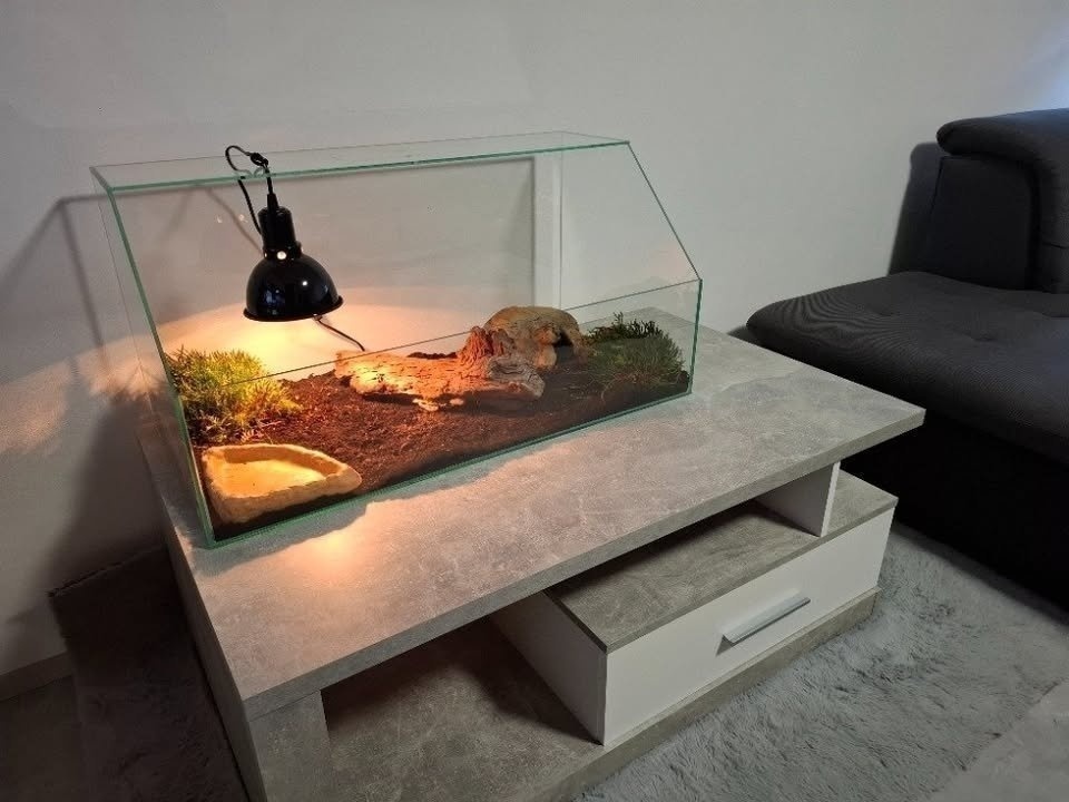 Prodám želví stůl/želvárium různých velikostí