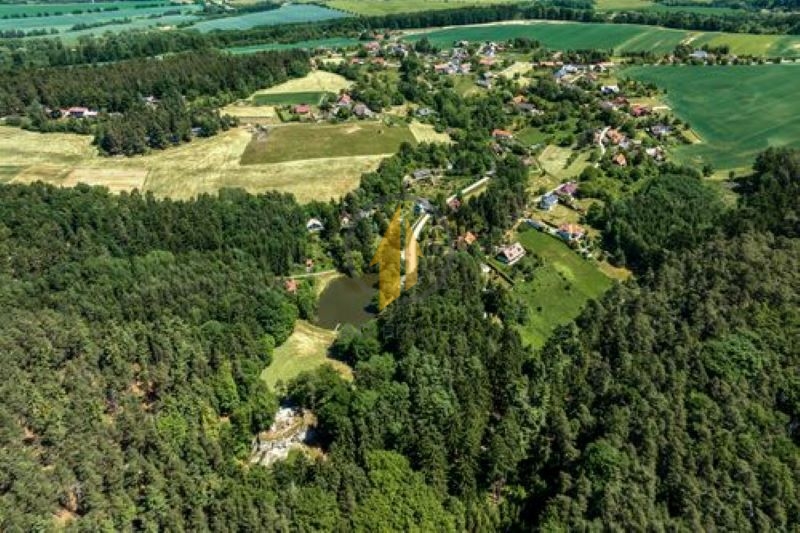 Prodej zemědělského pozemku o CP 44 193 m2 v obci Pařezská L