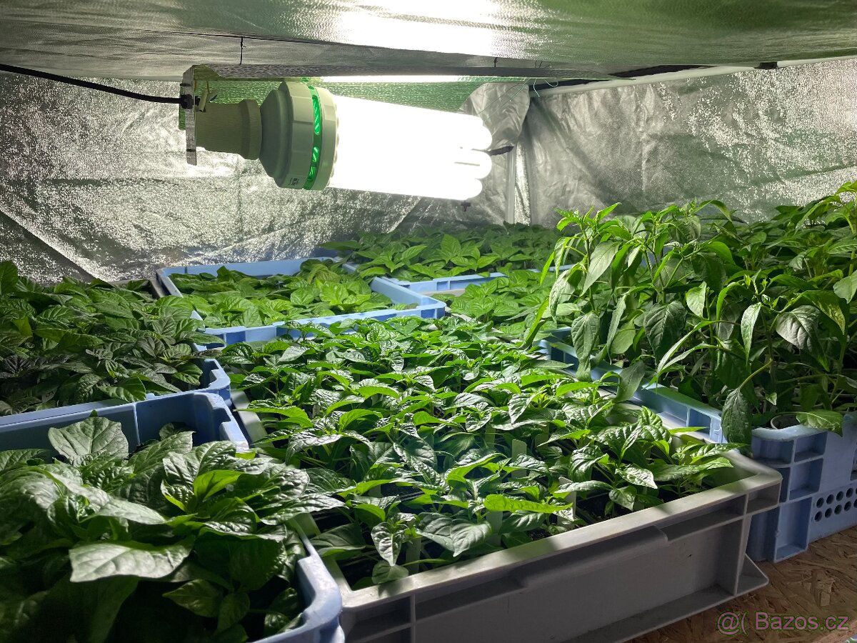 Kompletní growbox 150 pro předpěst