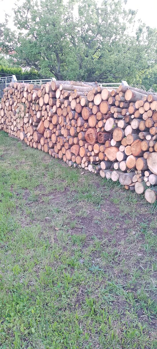 Palivové dřevo