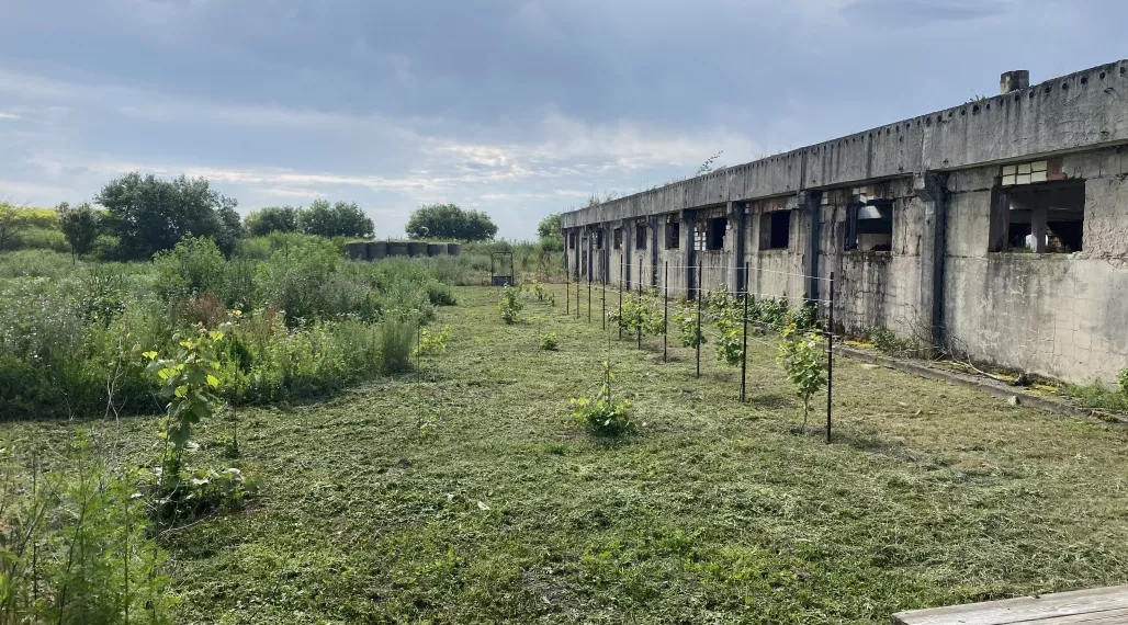 Investícia do Vašej pôbočky na Sk pri Dunajskej Strede