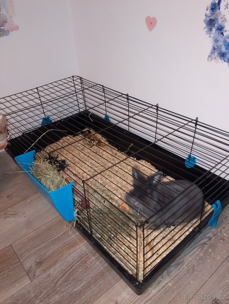 Králík včetně klece