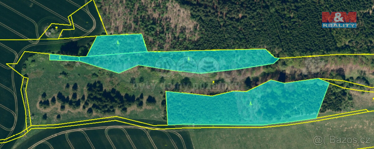 Prodej lesa, 17 628 m², Bělá u Jedlé, okr. Havlíčkův Brod