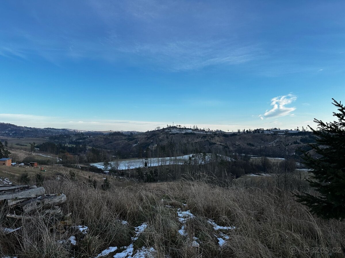 Prodej lesa v k.ú Střížov u Jihlavy 11 837 m2