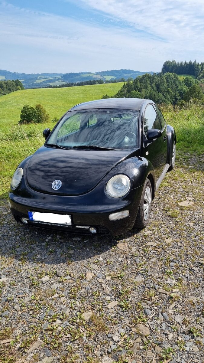 New Beetle