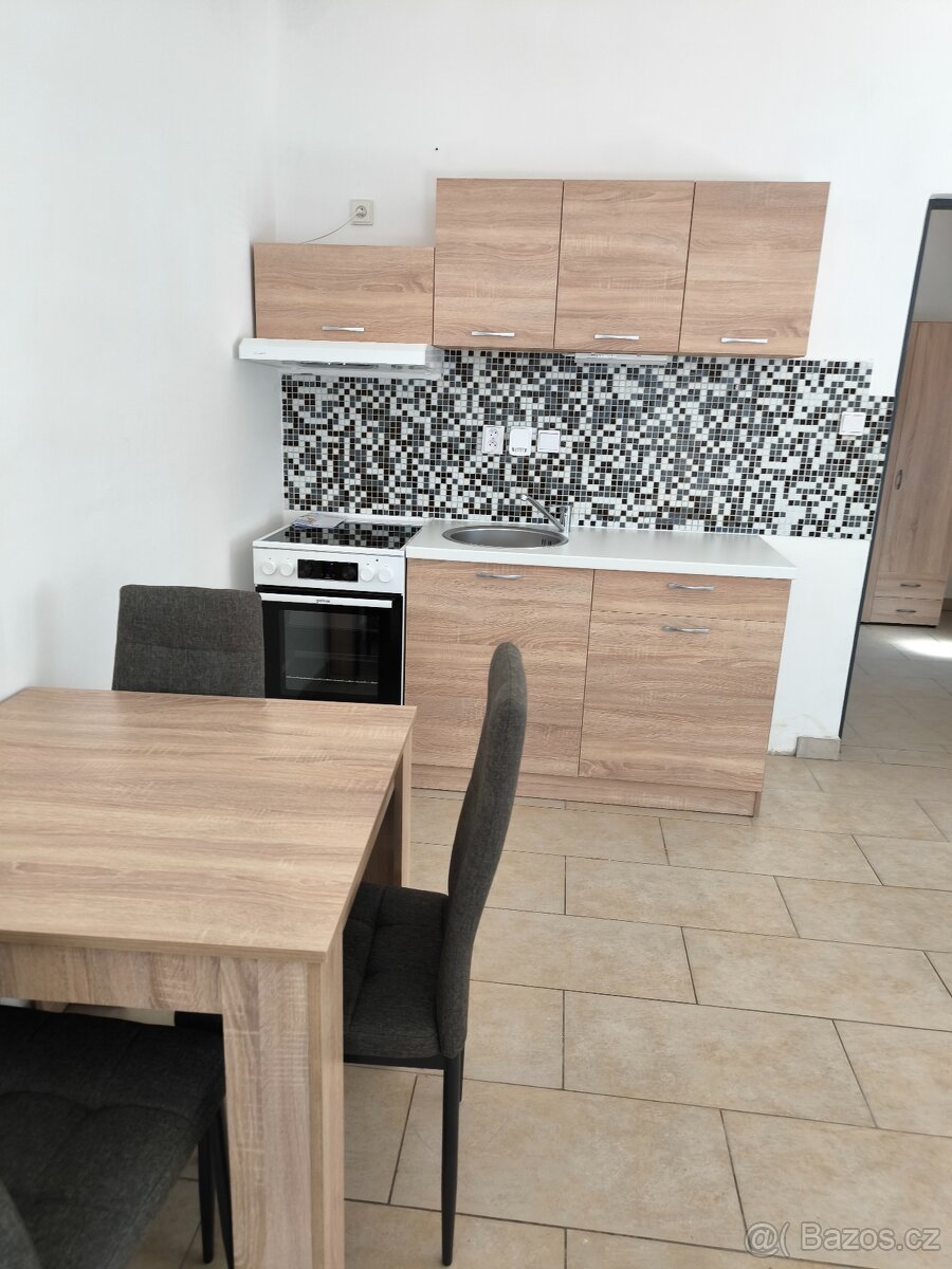 1+kk Velké Pavlovice 34m2 s terasou