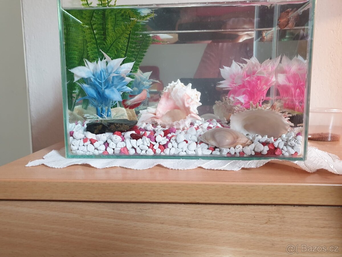 Akvárium s dekoracemi 25c20x15cm (šxvxh) 8L
