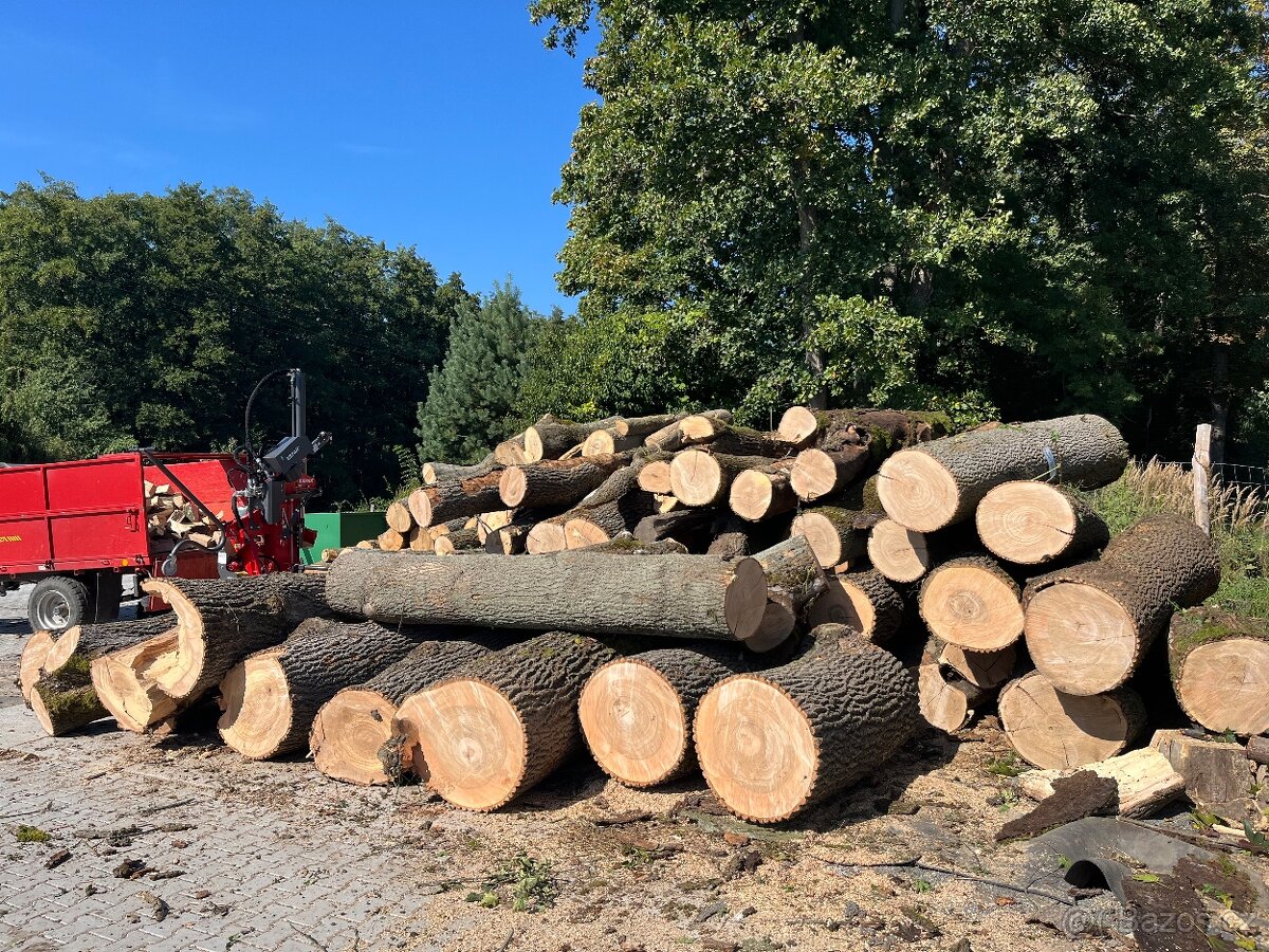 Palivové dřevo Tvrdé