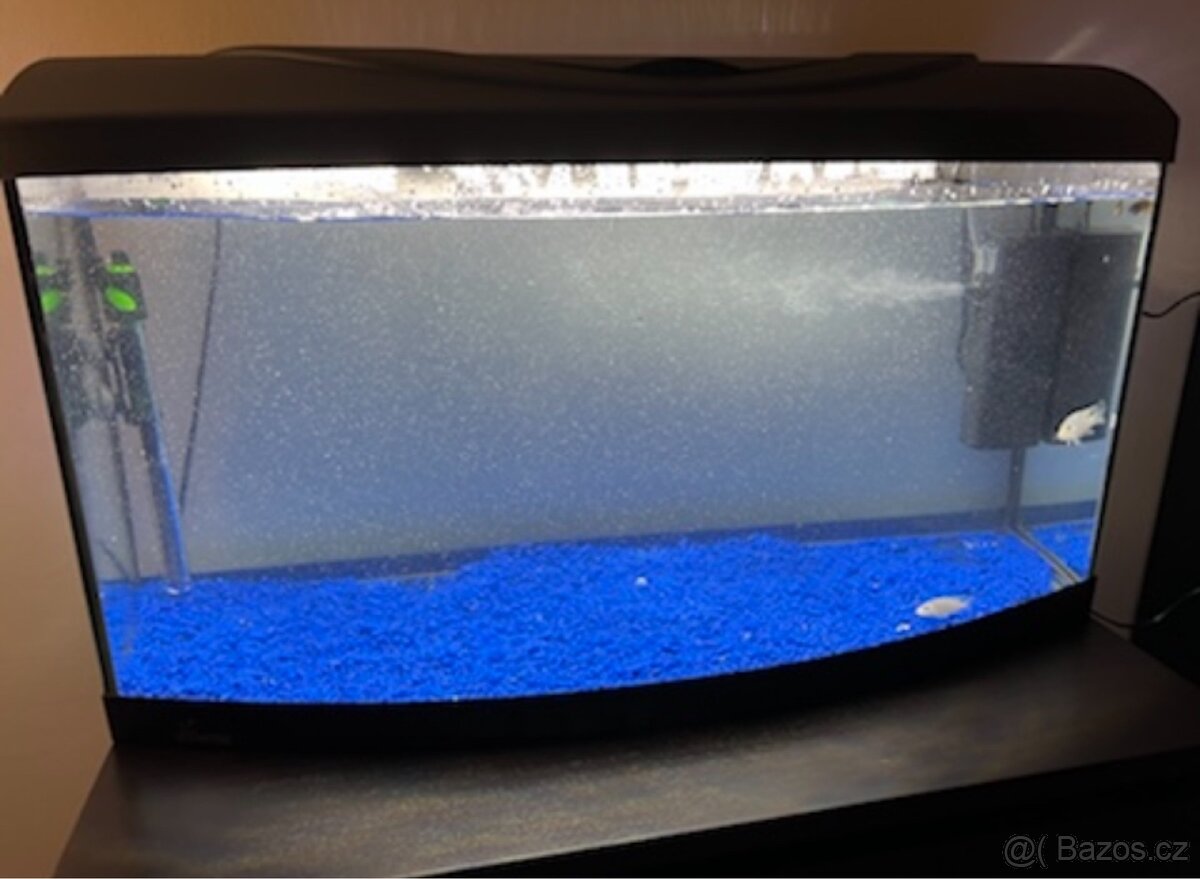 Vypouklé Akvarium Diversa 112 L - SET + kamínky zdarma