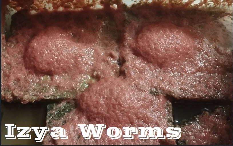 Živé krmiv, násady - Auloforus, Grindal, Mikry, Moina...