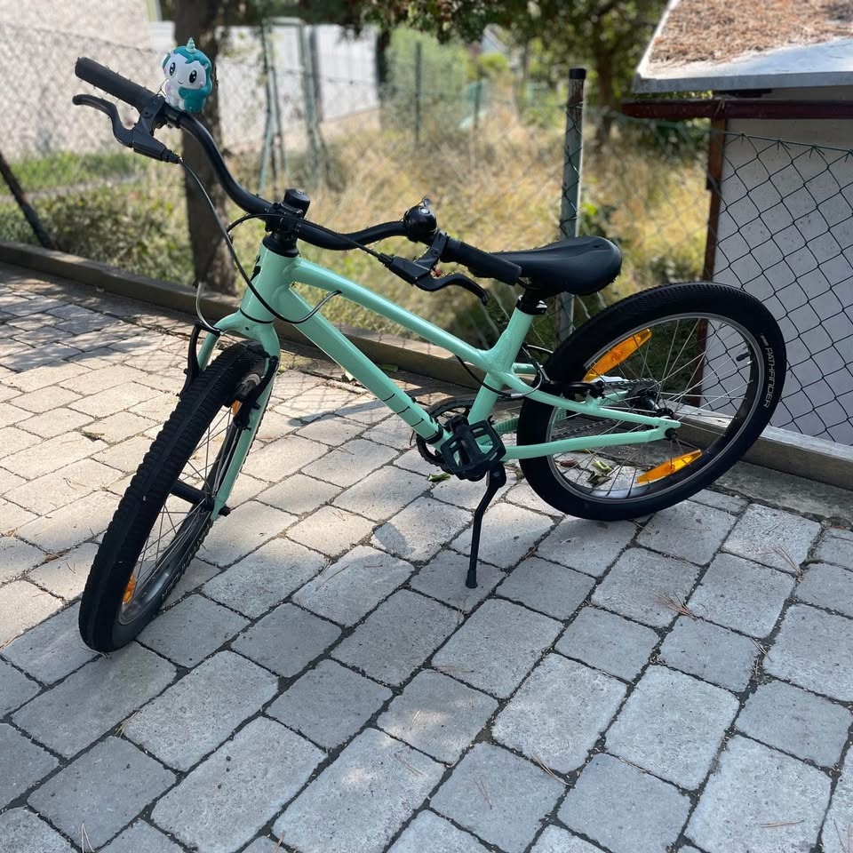 DĚTSKÉ KOLO SPECIALIZED JETT 20 GLOSS OASIS / FOREST GREEN