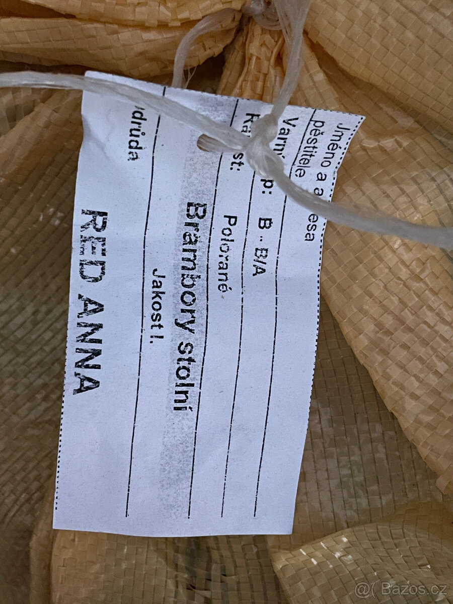 Bramborová sadba Red Anna