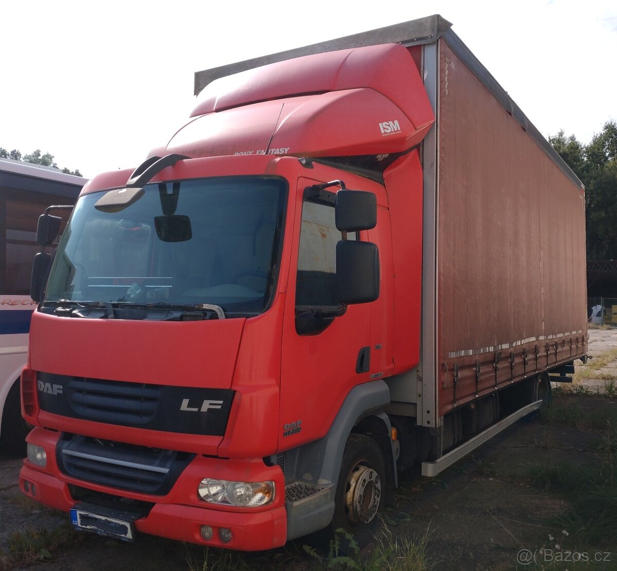 DAF LF 45.220 EURO 5+EEV - 19 Europalet - 3 m