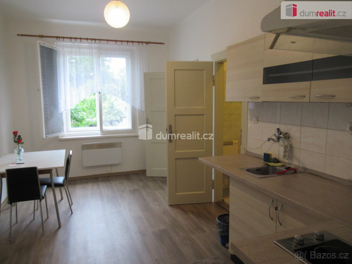 Pěkný a prostorný byt 1+1 po rekonstrukci, Praha 4 - Braník