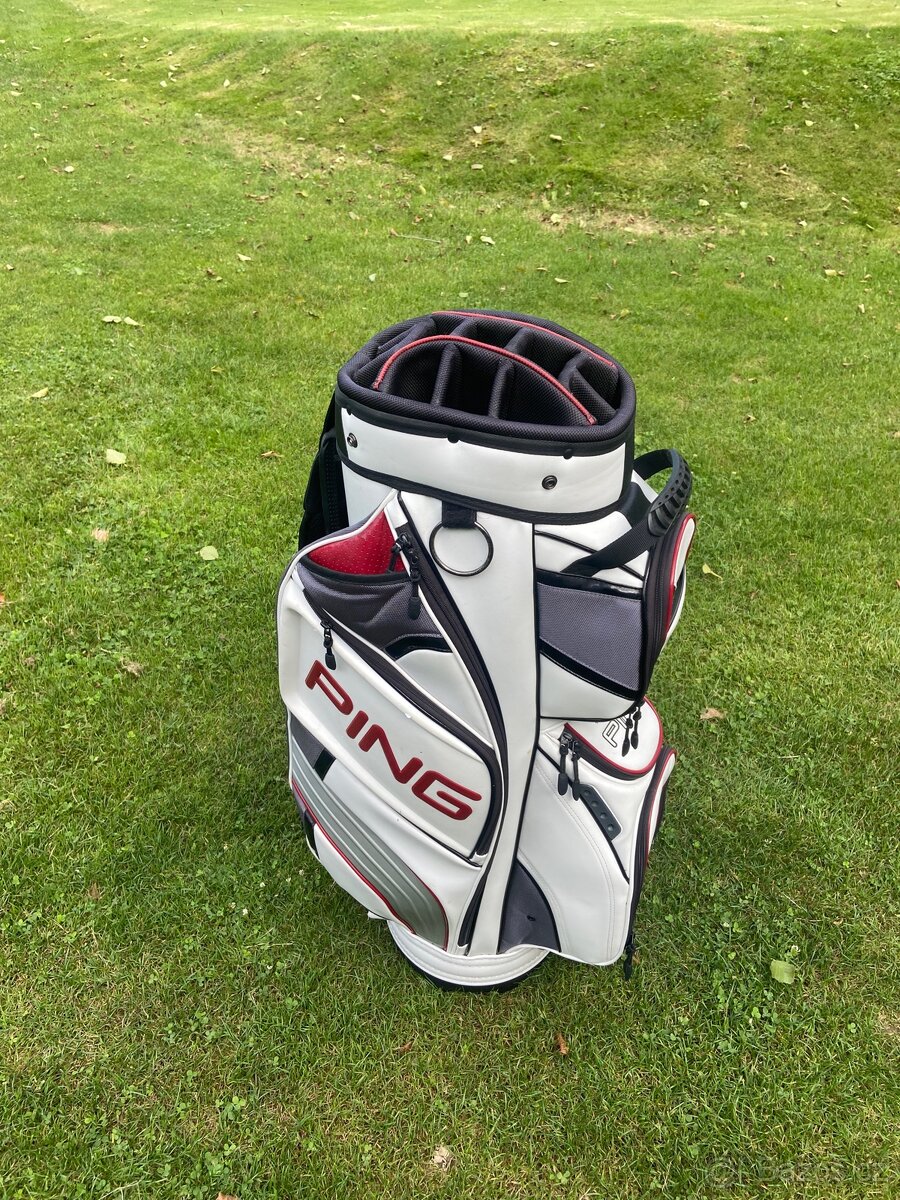 Bag Ping