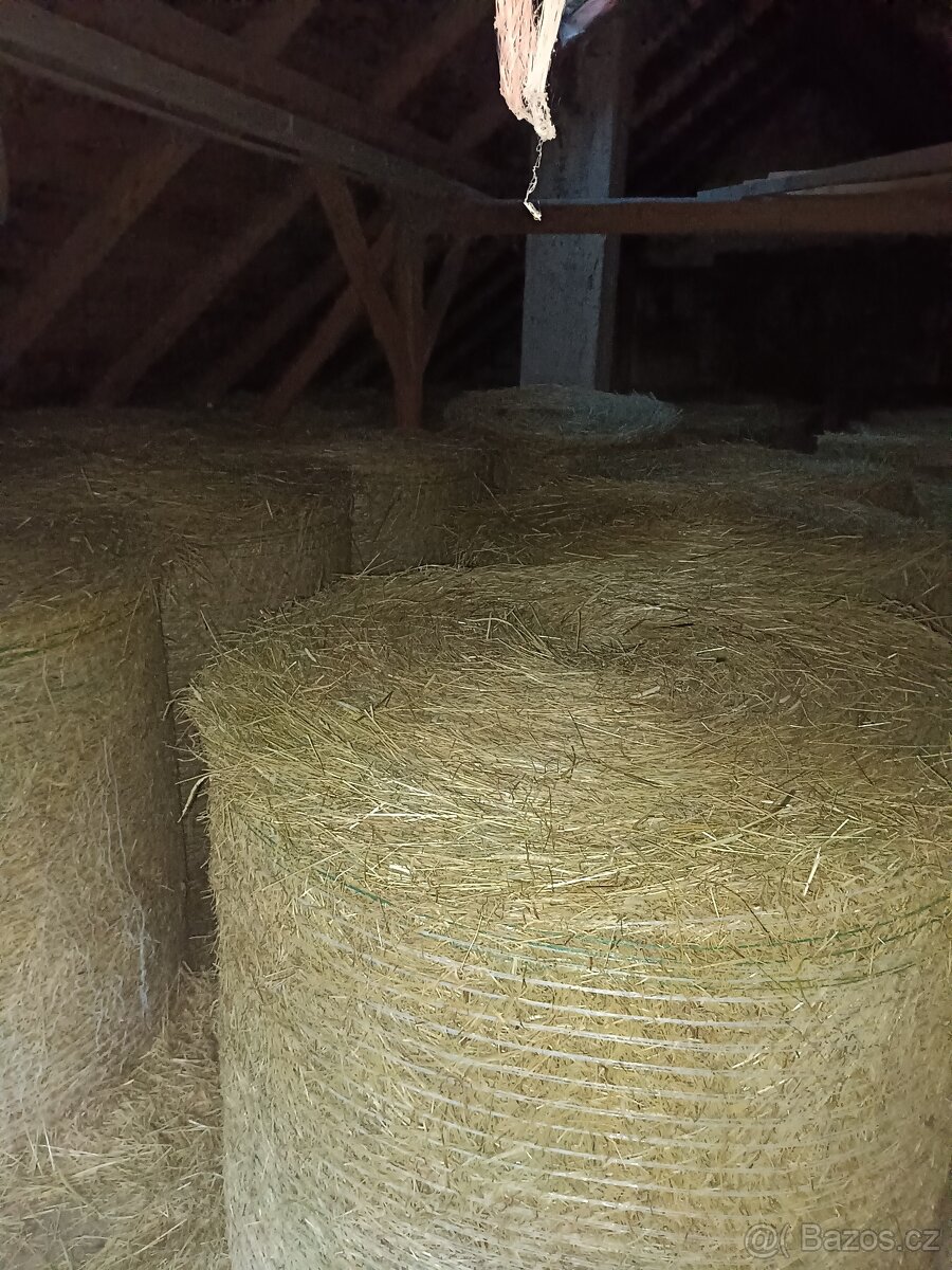 Prodám seno