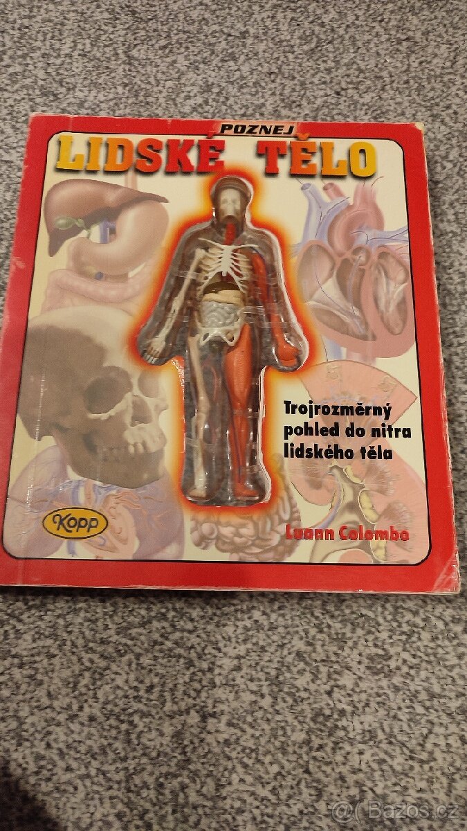 Poznej Lidské tělo
+
Zdarma poznejte svět